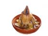 Pollo Asado